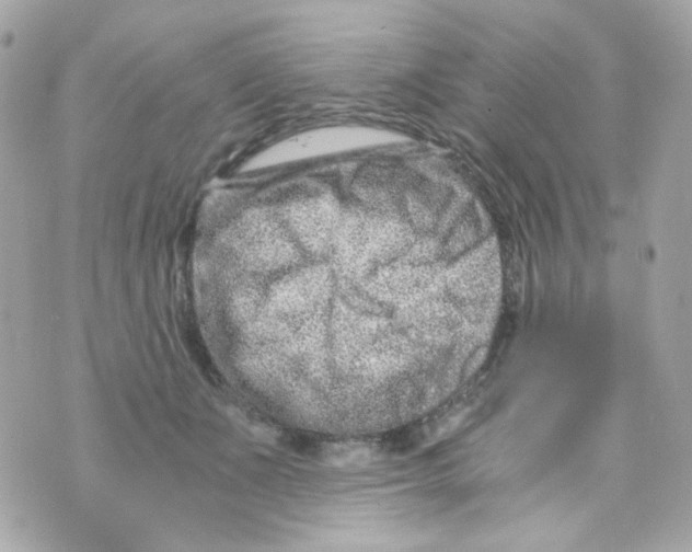 X0000069830511200606161944