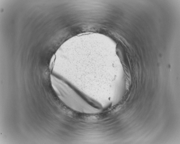 X0000069830513200606161944