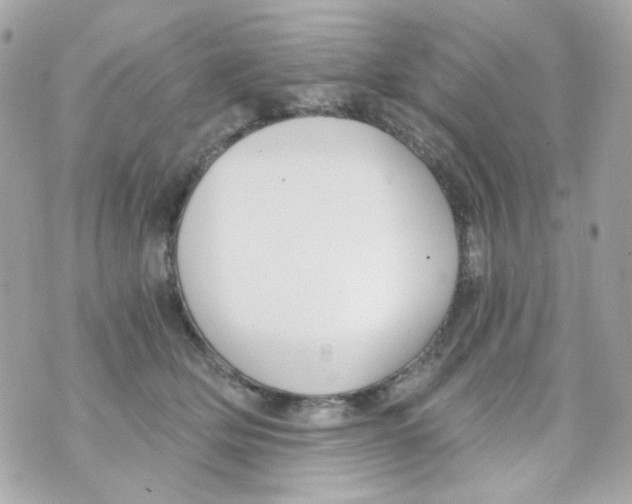 X0000069830514200606161944