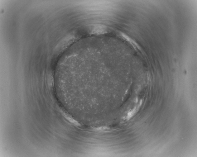 X0000069830517200606161943