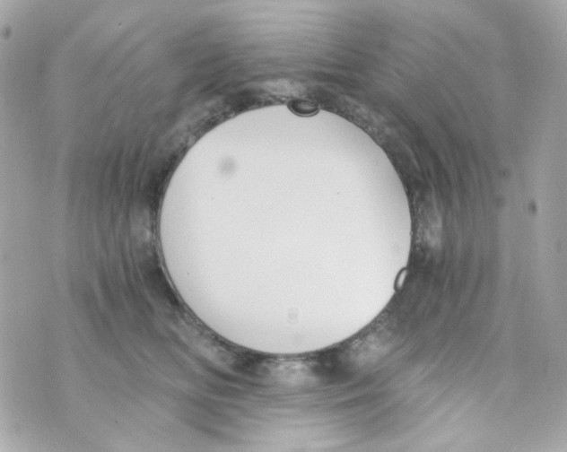 X0000069830518200606161943