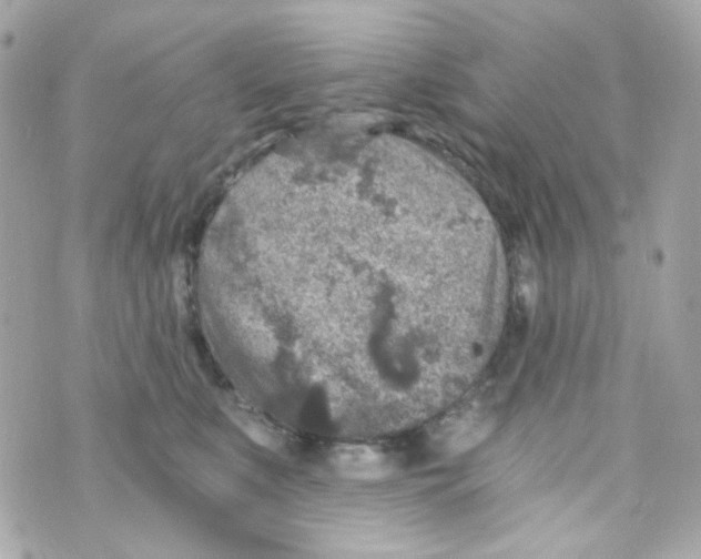 X0000069830519200606161943