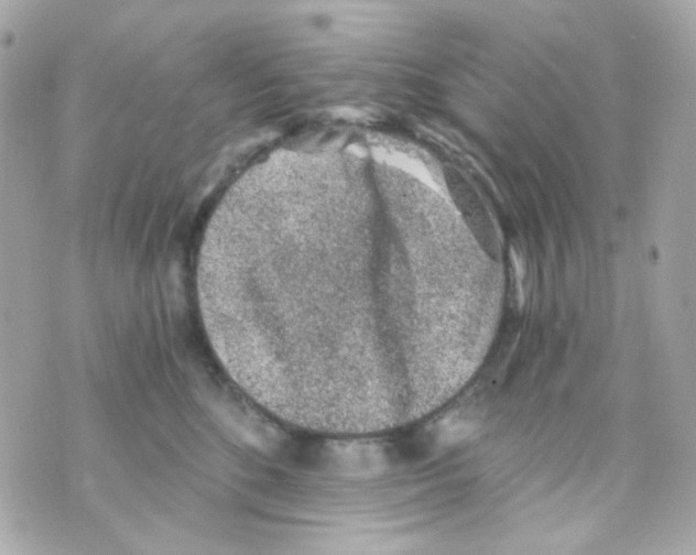 X0000069830520200606161943