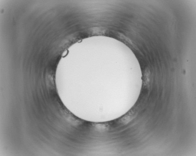 X0000069830522200606161943