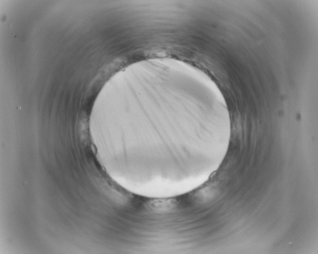 X0000069830526200606161943