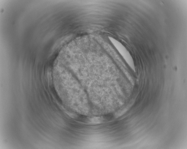 X0000069830527200606161943