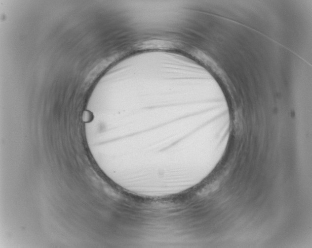 X0000069830529200606161943