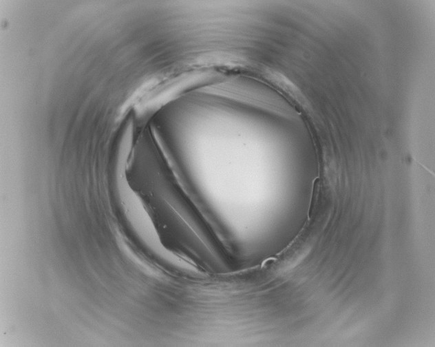 X0000069830530200606161943