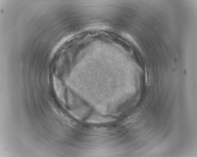 X0000069830531200606161943