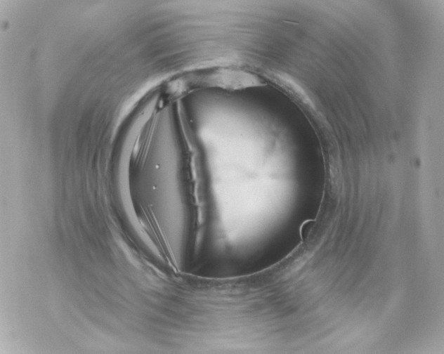 X0000069830532200606161943