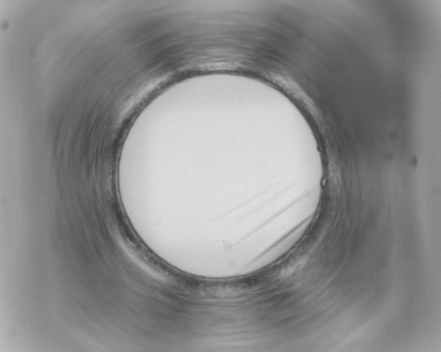 X0000069830533200606161943