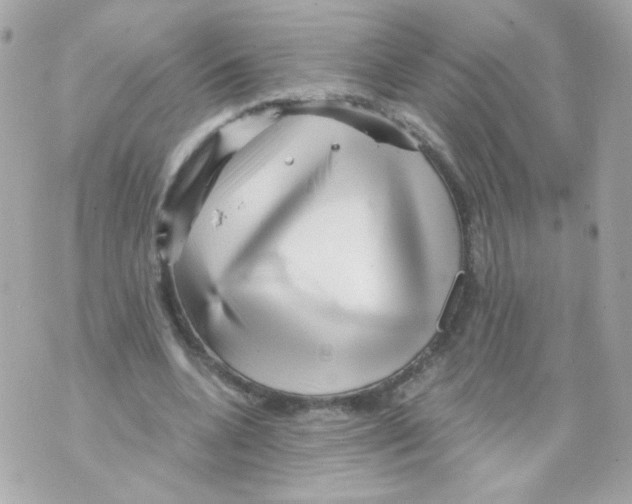 X0000069830536200606161943