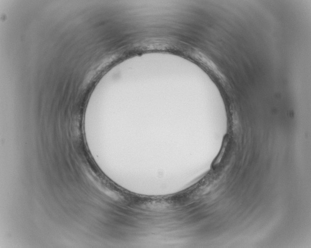 X0000069830537200606161943