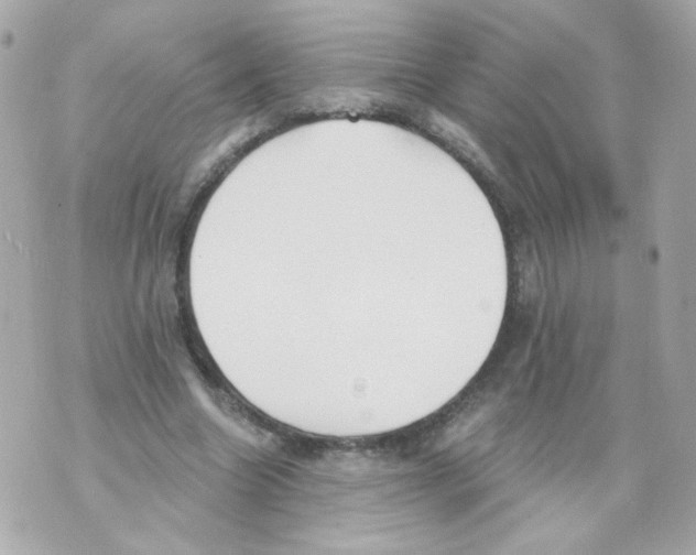 X0000069830538200606161943