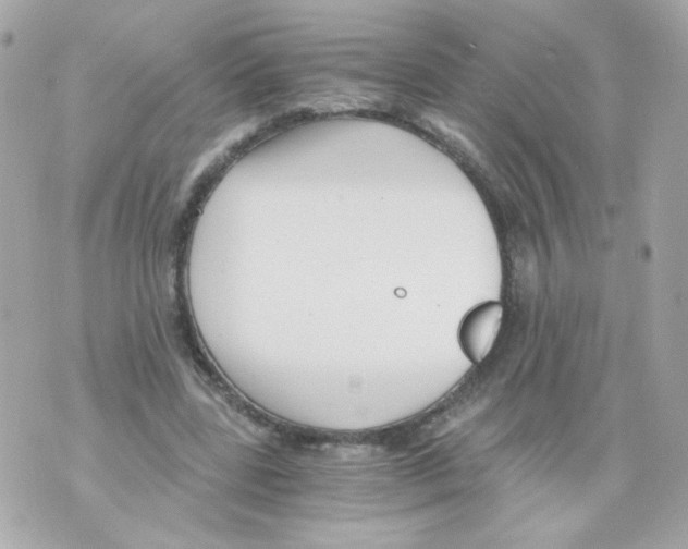 X0000069830539200606161943