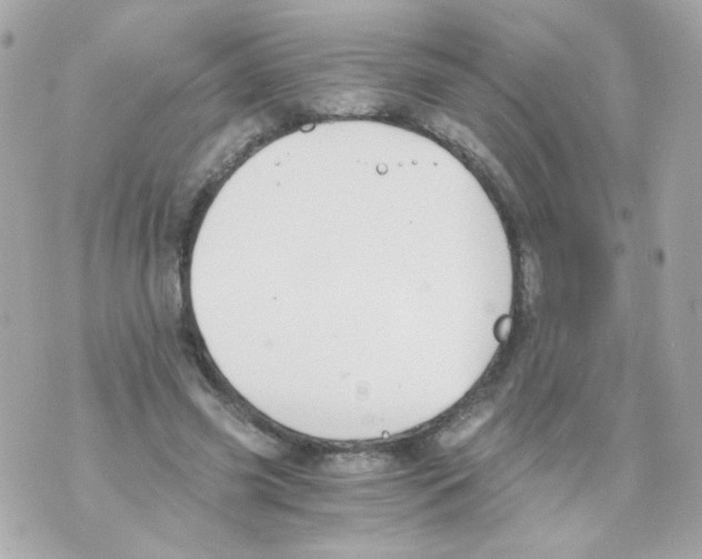 X0000069830541200606161943