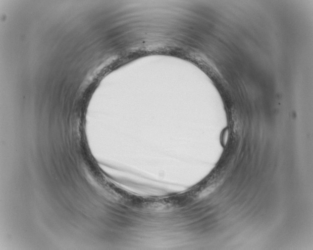 X0000069830542200606161943