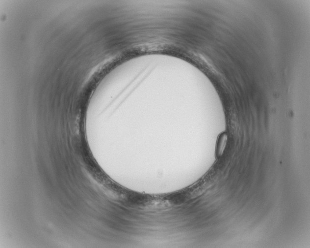 X0000069830543200606161943