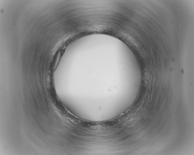 X0000069830544200606161943