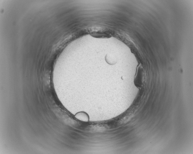 X0000069830545200606161943