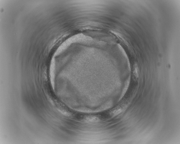 X0000069830547200606161943