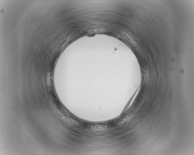 X0000069830549200606161943