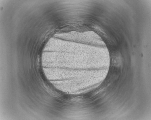 X0000069830550200606161943