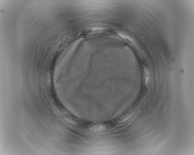 X0000069830551200606161943