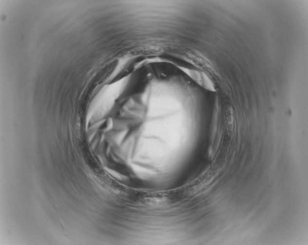 X0000069830552200606161943