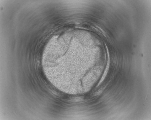 X0000069830553200606161943