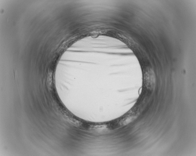 X0000069830554200606161943