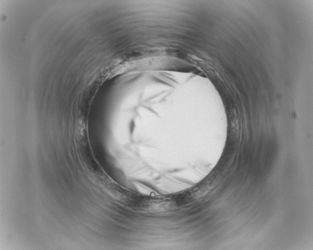 X0000069830555200606161943