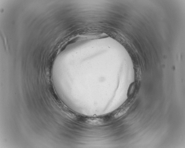 X0000069830557200606161943