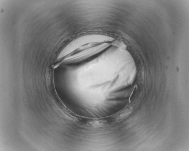 X0000069830558200606161943