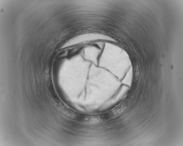 X0000069830559200606161943