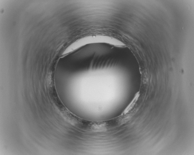 X0000069830560200606161943