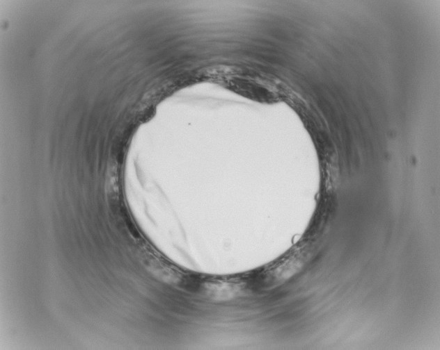 X0000069830561200606161943