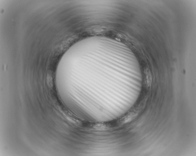 X0000069830562200606161943