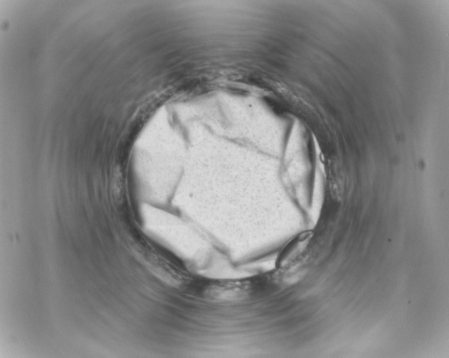 X0000069830563200606161943