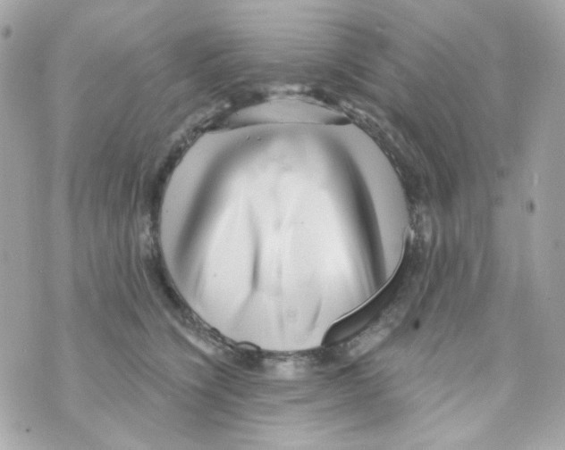 X0000069830564200606161943