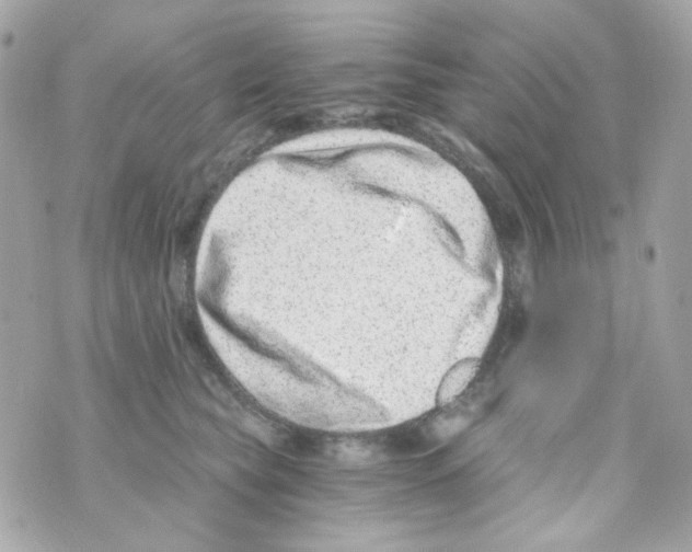 X0000069830565200606161943