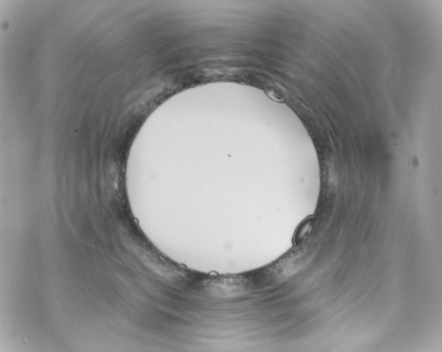 X0000069830567200606161943