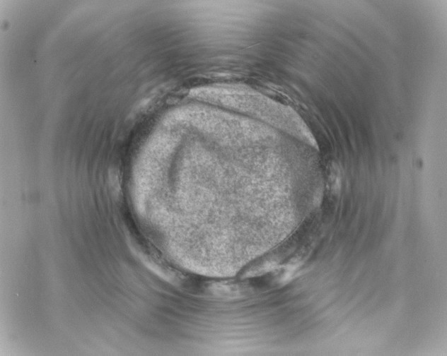 X0000069830568200606161943