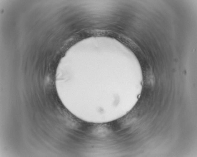 X0000069830569200606161943