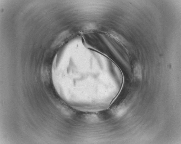 X0000069830572200606161943