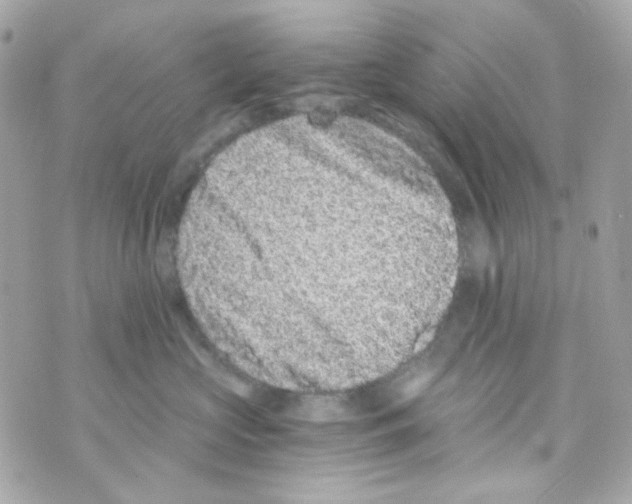 X0000069830573200606161943