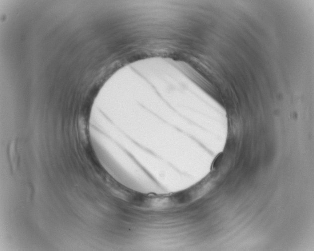 X0000069830575200606161943