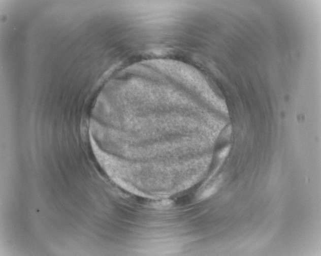 X0000069830576200606161943