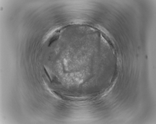 X0000069830577200606161942