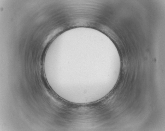 X0000069830578200606161942